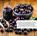 Muda de Jabuticaba Hibrida Enxertada Produzindo
