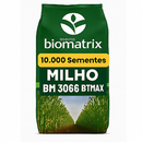 Semente milho 3066 BTMAX - Resistente Milho Verde e Silagem - 10.000 sementes