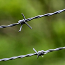 Arame farpado Nelore Morlan - 500 metros